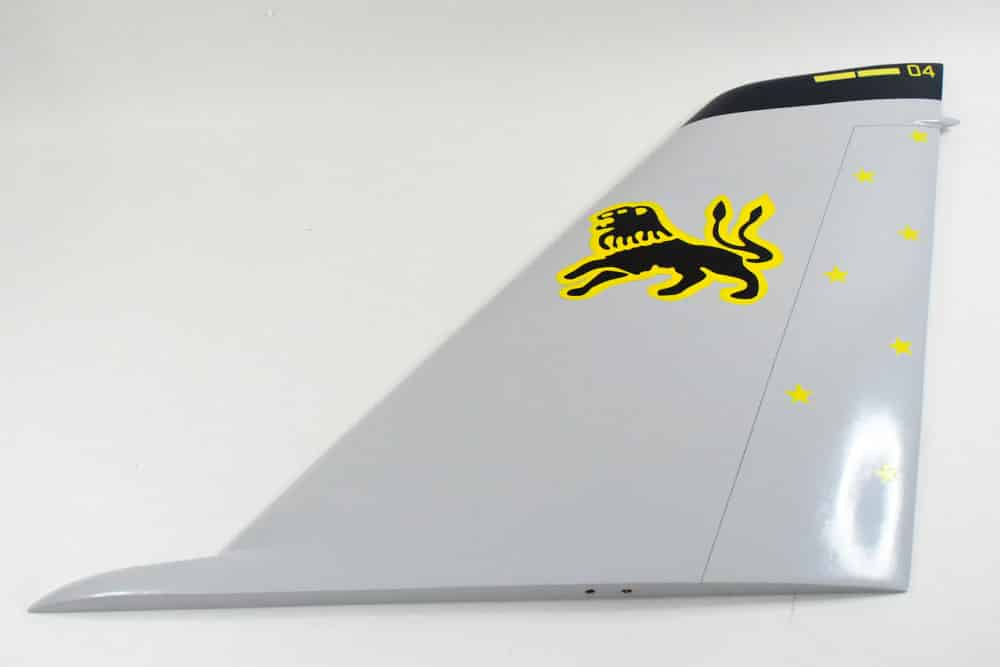 VF-213 Black Lions F-14 Tail