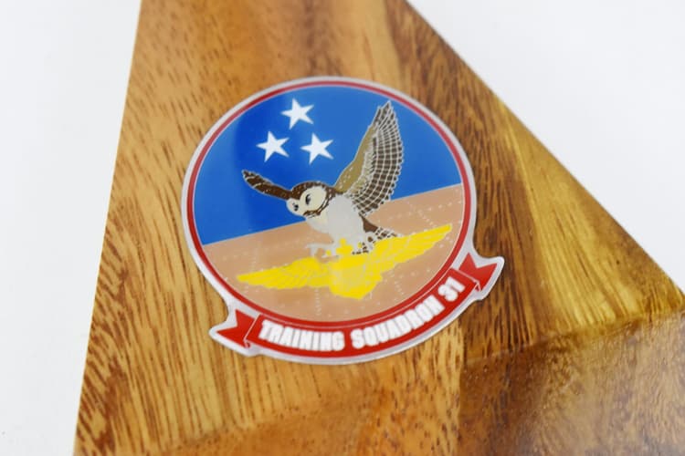Beechcraft® T-44C Pegasus, VT-31 Wise Owls (Navy)