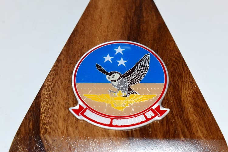 Beechcraft® T-44C Pegasus, VT-31 Wise Owls (Navy)