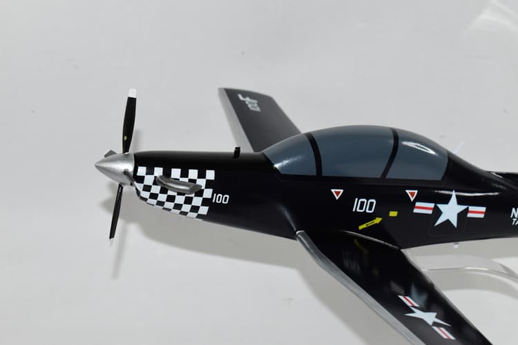 Beechcraft T-6a Texan II, VT-10 Wildcats (CONA)