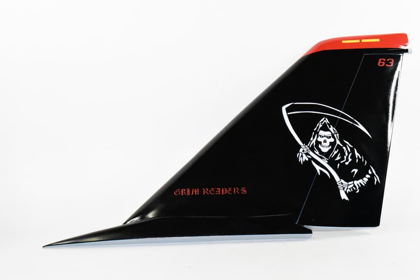 VF-101 Grim Reapers F-14 Tomcat Tail