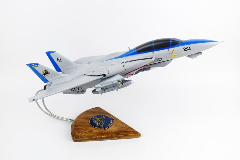 VF-213 Fighting BlackLions F-14d Tomcat Model