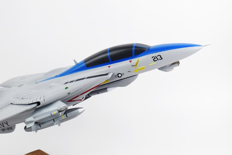 VF-213 Fighting BlackLions F-14d Tomcat Model
