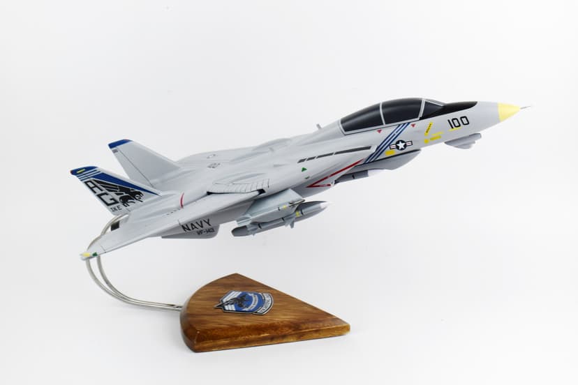 VF-143 Pukin Dogs F-14 Tomcat Model