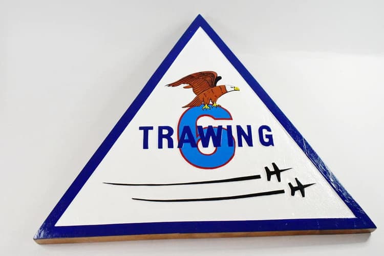TAW-6 Training Air Wing Six Plaque