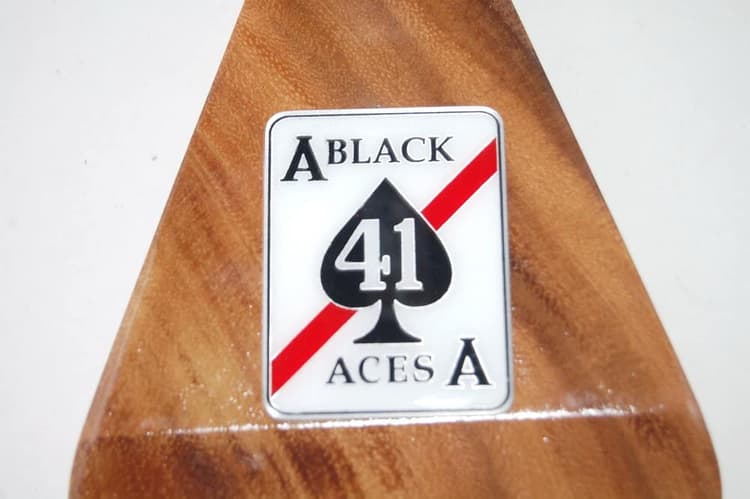 VF-41 Black Aces F-14a Tomcat (1996) Model