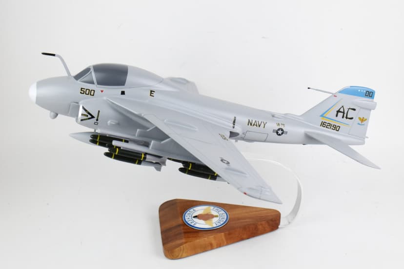 VA-75 Sunday Punchers A-6e Intruder Model
