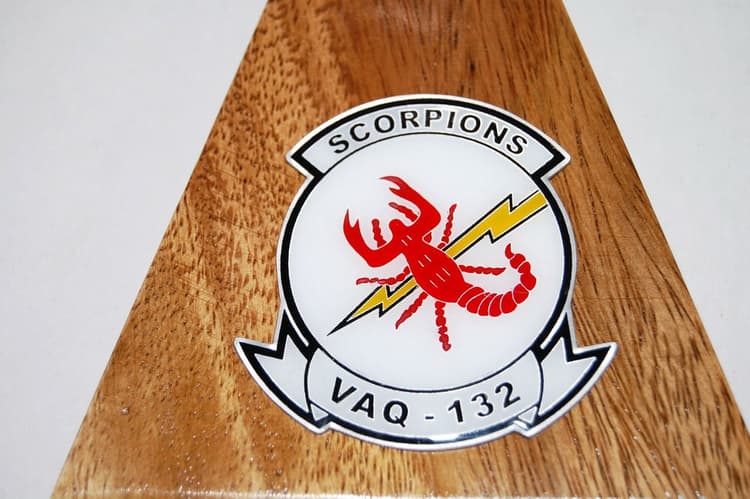 VAQ-132 Scorpions EA-6b Model
