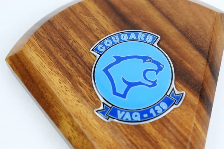 VAQ-139 Cougars 2014 EA-18G Growler Model