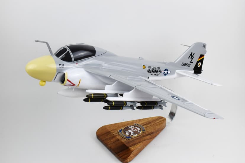 VMA(AW)-224 Fighting Bengals A-6 Intruder Model,