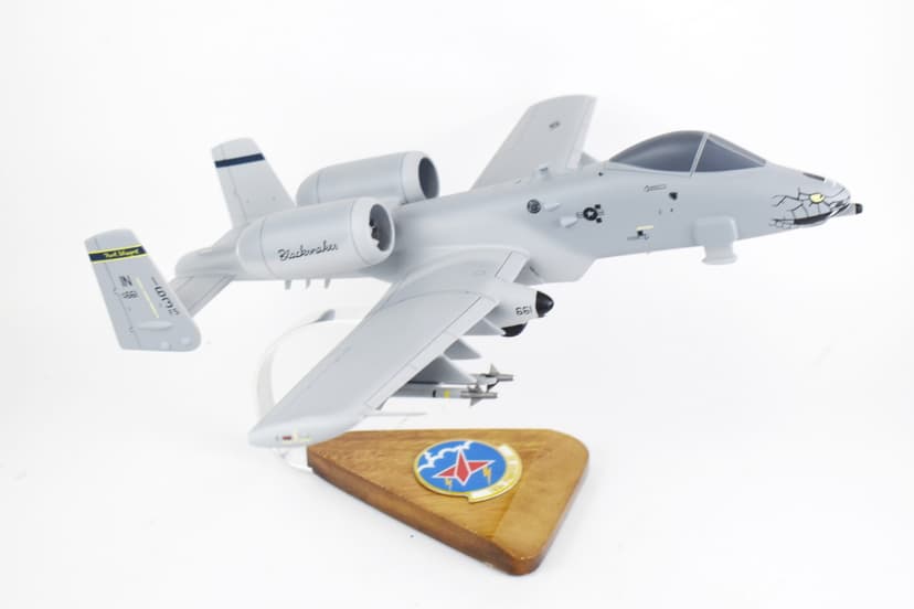 163d Fighter Squadron Blacksnakes A-10 Warthog Model