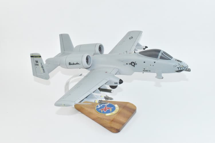 163d Fighter Squadron Blacksnakes A-10 Warthog Model
