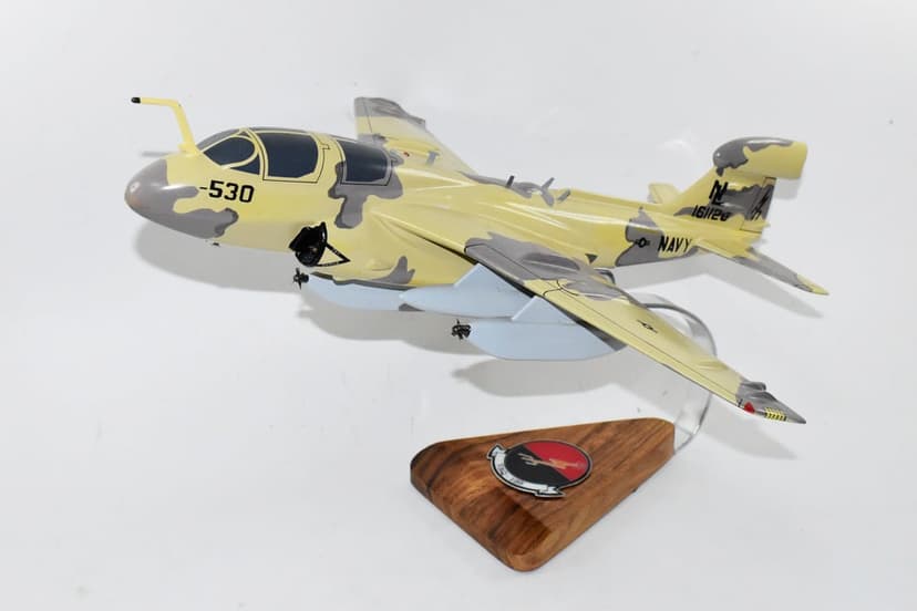 VAQ-133 Wizards EA-6b (161120) Model