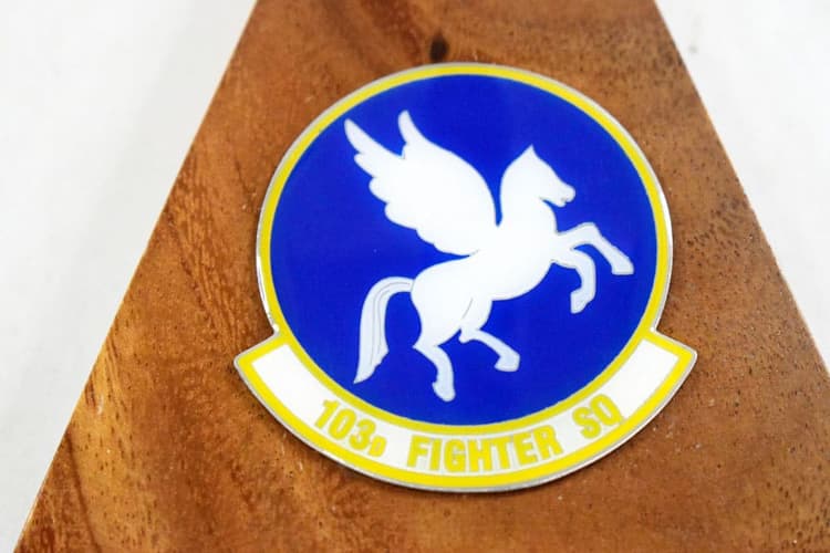 103d Fighter Squadron Black Hogs A-10