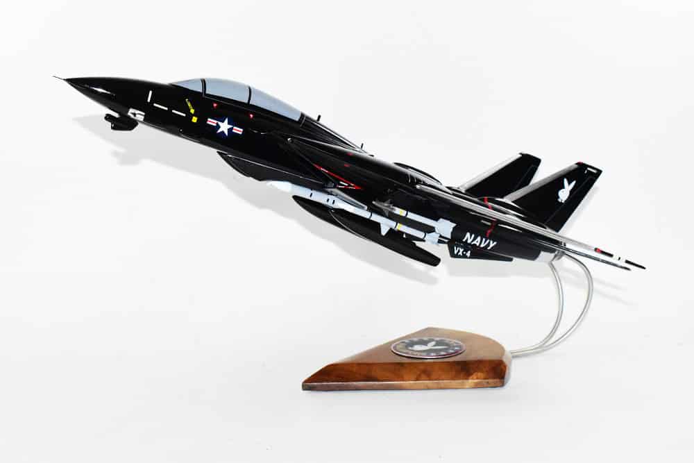 VX-4 Evaluators F-14 Model