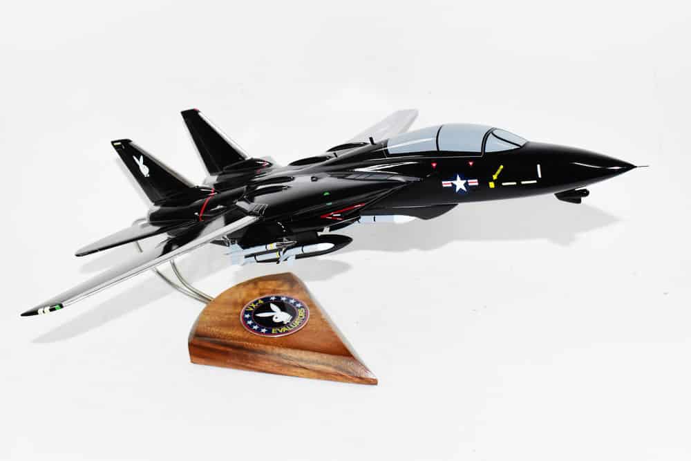 VX-4 Evaluators F-14 Model