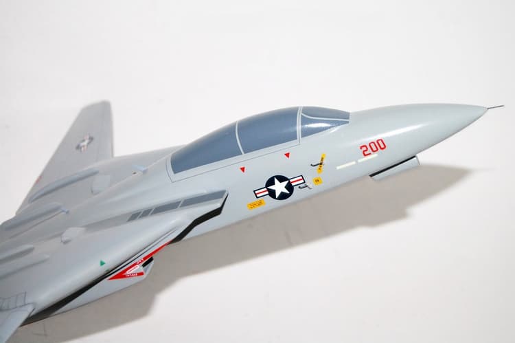 VF-194 Red Lightnings F-14 Model