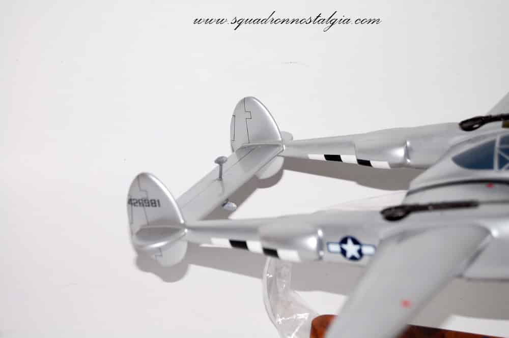 Honey Bunny P-38 Lightning Model