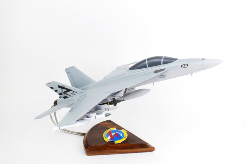 VX-23 Salty Dogs F/A-18F Model