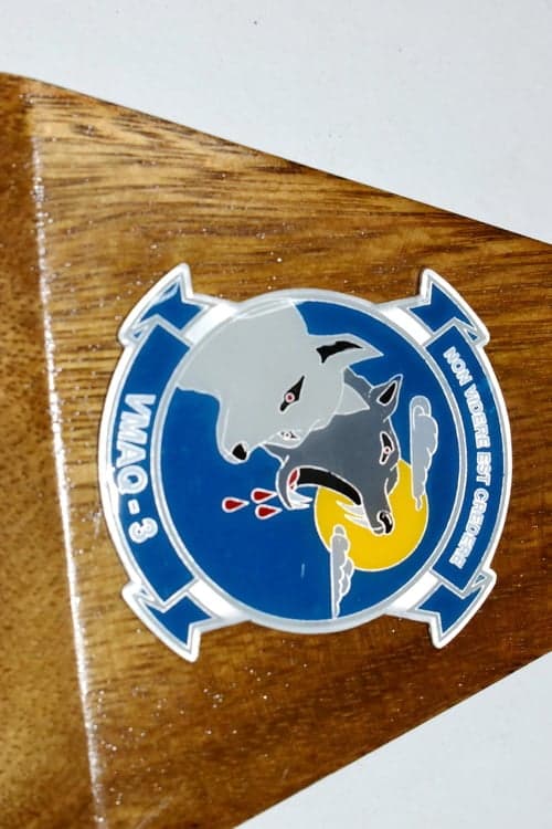 VMAQ-3 Moon Dogs EA-6b (163030) Model