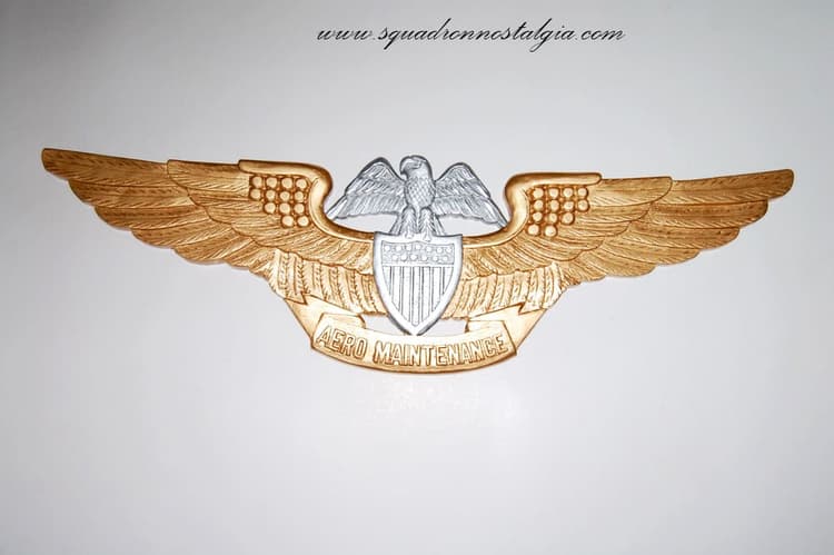 Aero Maintenance Wings