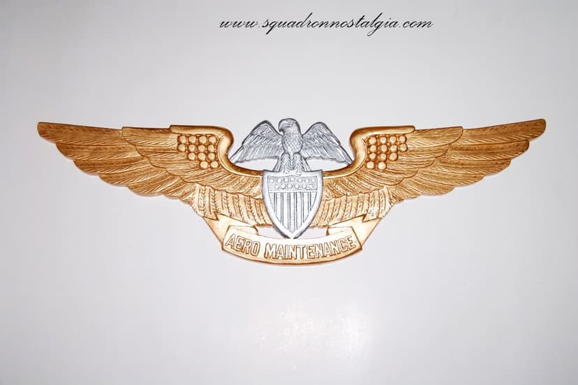Aero Maintenance Wings