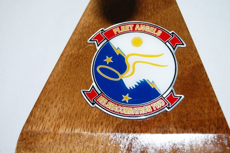 HSC-2 Fleet Angels MH-60S (2009) Model