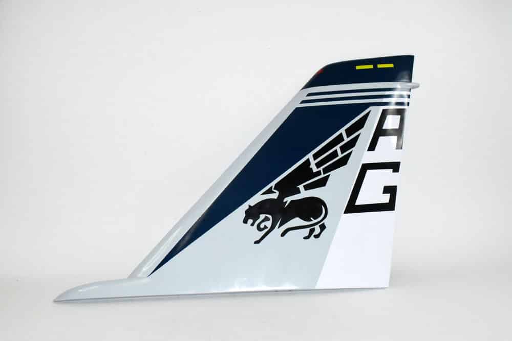 VF-143 Pukin Dogs F-14 Tomcat Tail