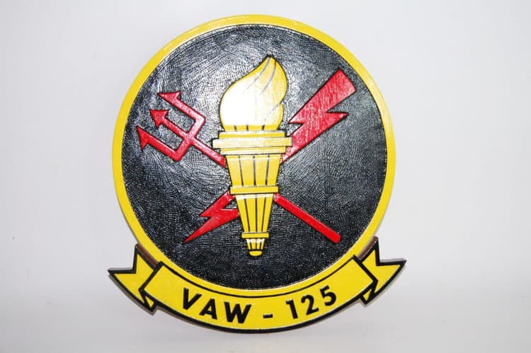 VAW-125 Torch Bearers Plaque
