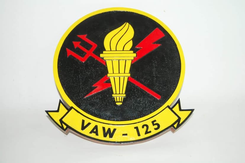 VAW-125 Torch Bearers Plaque