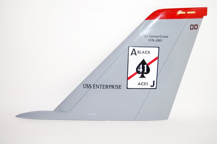 VF-41 Black Aces F-14 Tomcat Tailflash