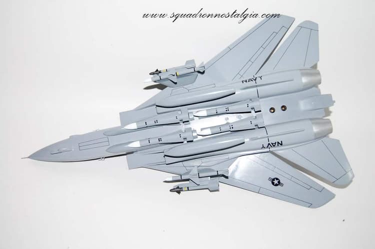 VF-41 Black Aces F-14a Tomcat (1995) model