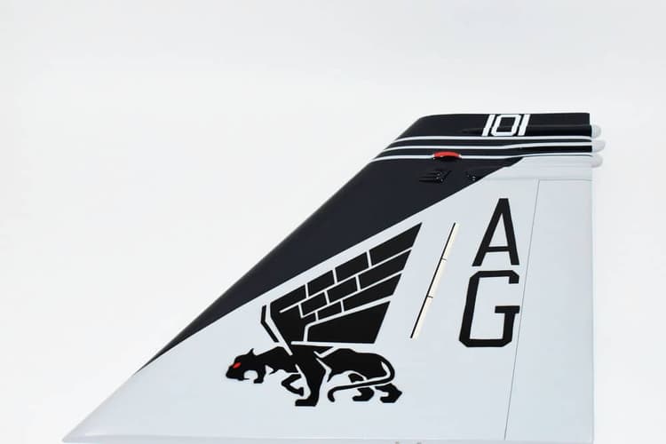 VFA-143 Pukin Dogs F/A-18 Hornet Tail