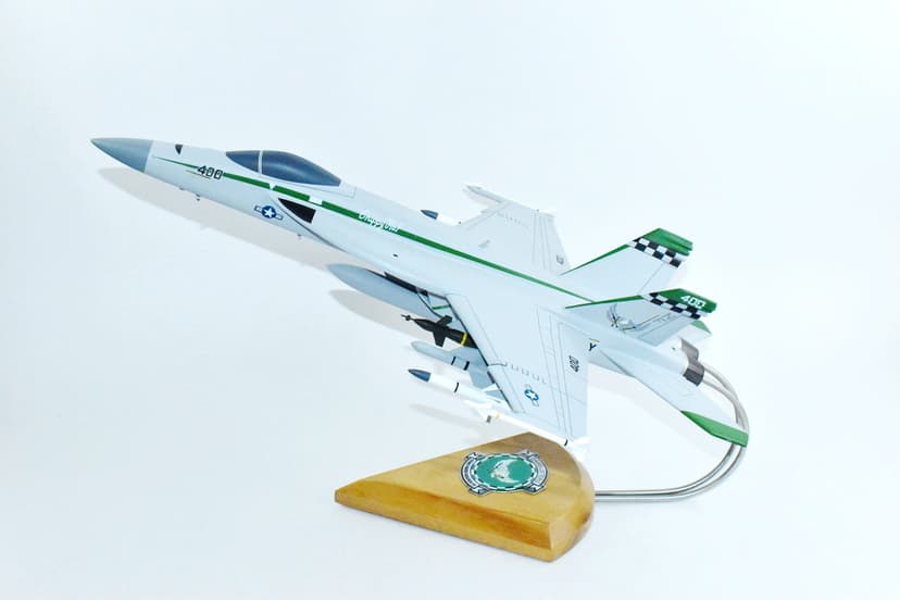 VFA-195 Dambusters F/A-18E Model