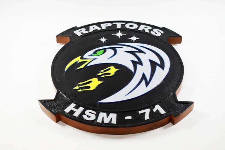HSM-71 Raptors Plaque