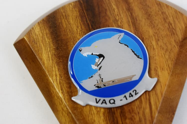 VAQ-142 Gray Wolves 2016 EA-18G Growler Models