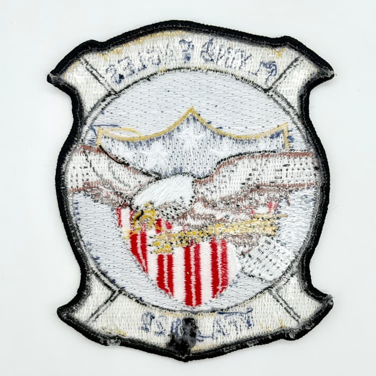VFA-122 Flying Eagles Patch, 4" Embroidered Insignia, Sew-On