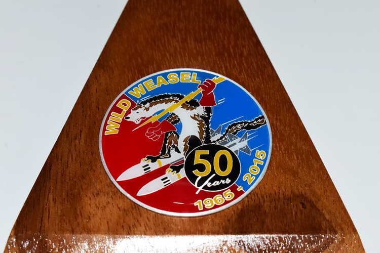 Lockheed Martin® F-16 Fighting Falcon®, Wild Weasel 50 Years Model