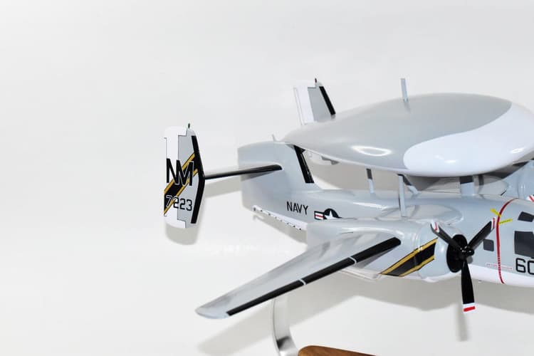 RVAW-110 Firebirds 1975 E-1B Model