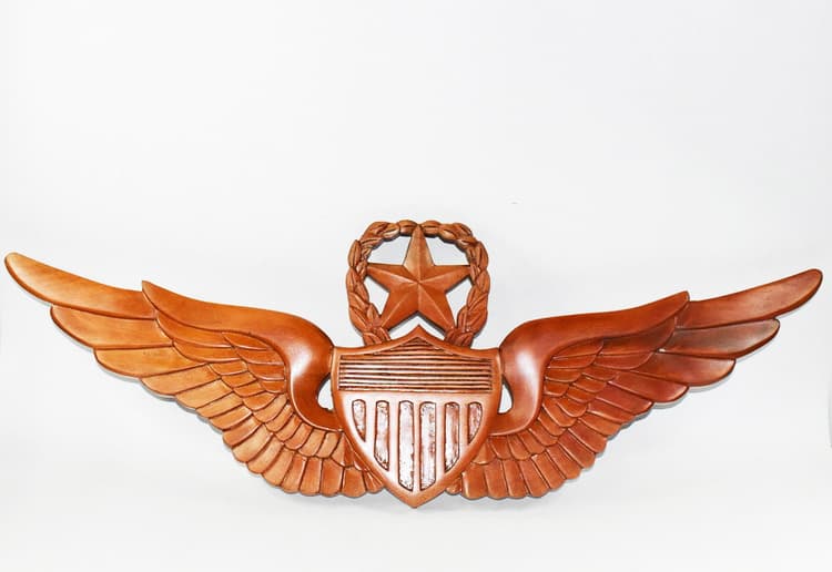 Master Army Aviator Wings