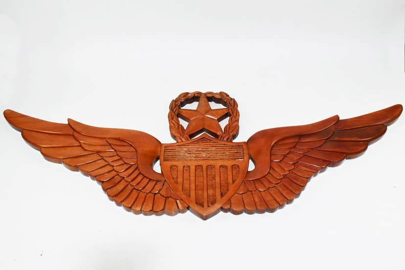 Master Army Aviator Wings