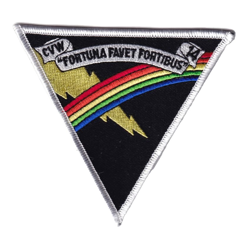 Carrier Air Wing 14 CVW-14 Patch