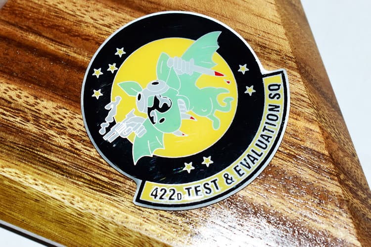 422d Test and Evaluation Squadron F-15C Model