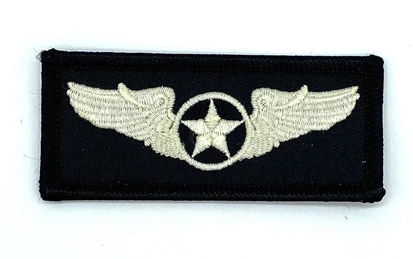 Wings Patch - Sew on, 3"