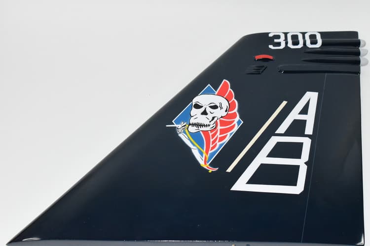 VFA-34 Blue Blasters 2022 FA-18 Tailflash