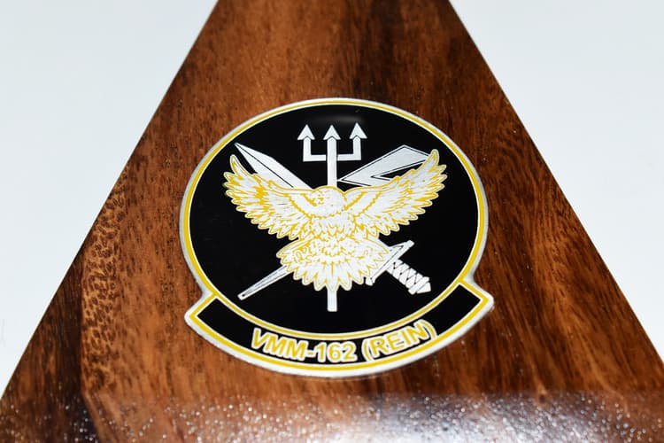 VMM-162 Golden Eagles (REIN) 2024 MV-22 Model