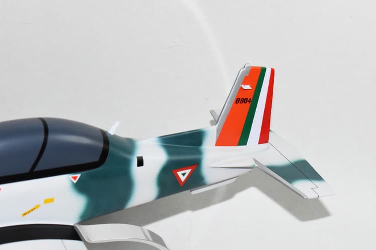 Beechcraft T-6C Texan II, Mexican Air Force