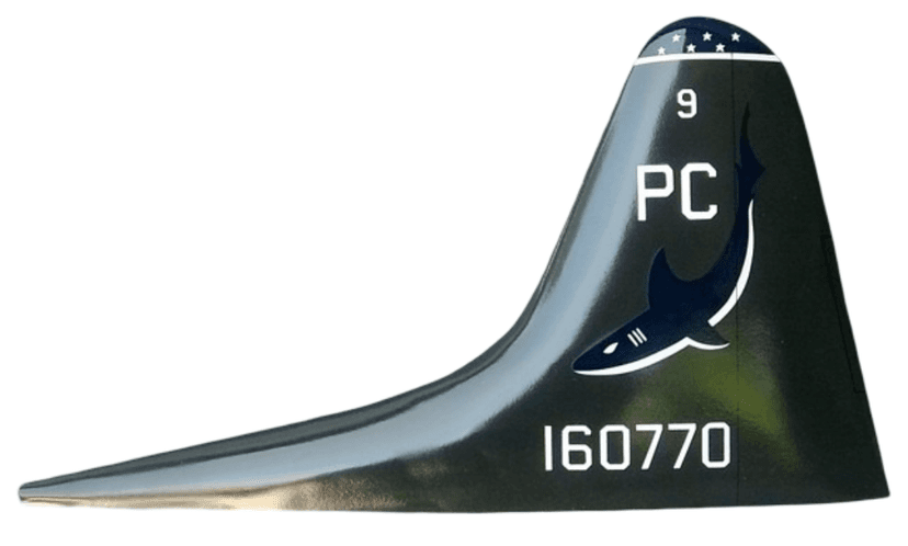 VP-6 Blue Sharks P-3 Tail Flash