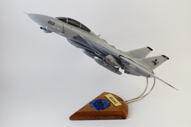 VF-213 Black Lions 2005, CVW-8 F-14D Tomcat Model