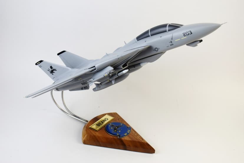 VF-213 Black Lions 2005, CVW-8 F-14D Tomcat Model